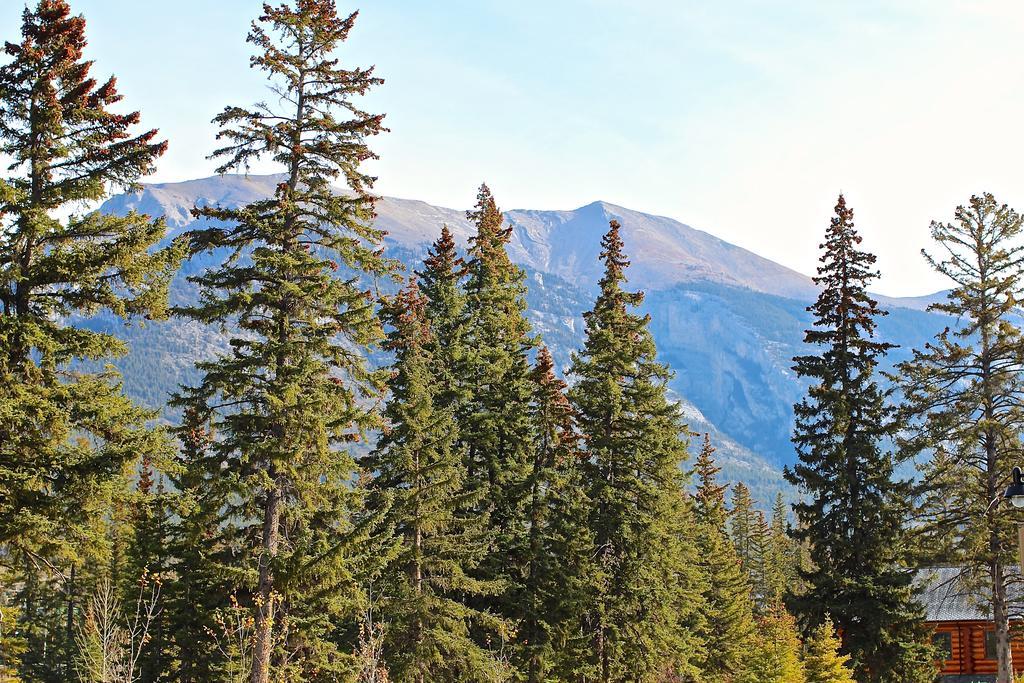 Luxury Canmore Vacations Ngoại thất bức ảnh