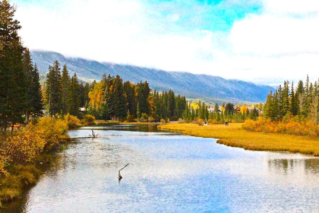 Luxury Canmore Vacations Ngoại thất bức ảnh